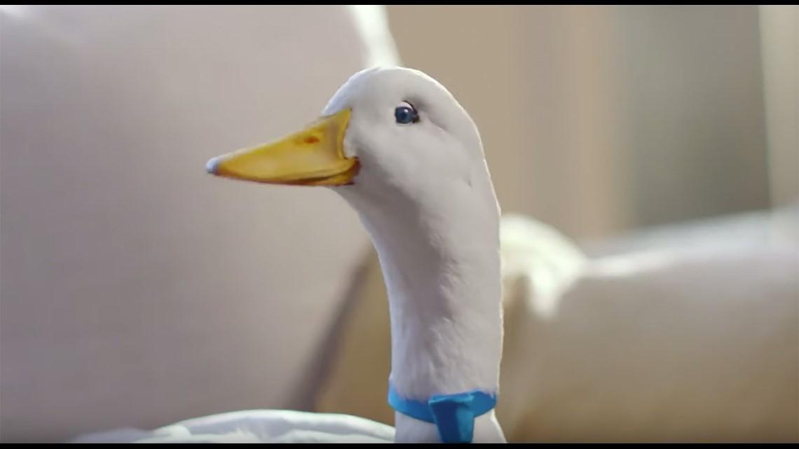 Aflac